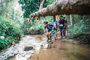 BIB: 
                            <button type="button" onclick="openModal(25374052)" class="btn btn-primary btn-sm float-right btn-popup" data-toggle="modal" data-target=".modal-high-quality">
                        <i class="fas fa-shopping-cart"></i> Add to Cart
                    </button>
                                            <button type="button" onclick="isThisMe(25374052, true)" class="btn btn-success btn-sm float-right btn-popup btn-isme hidden" data-toggle="tooltip" data-placement="bottom" title="นี่คือรูปของคุณใช่ไหม คลิกที่นี่เพื่อเอาเข้าอัลบั้ม">
                        <i class="fas fa-plus"></i> Add to album
                    </button>
                    <button type="button" onclick="isThisMe(25374052, false)" class="btn btn-warning btn-sm float-right btn-popup btn-isnotme hidden">
                        <i class="fas fa-ban"></i> Remove from album
                    </button>